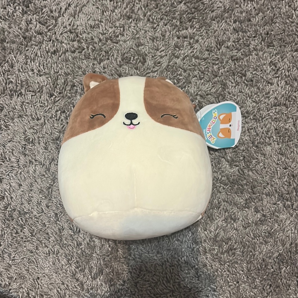 Regina squishmallow